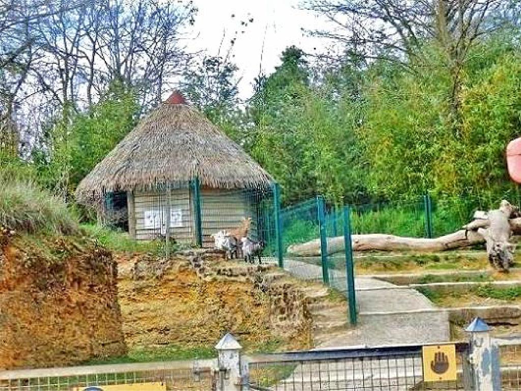 149 BIO PARC DE DOUE LA FONTAINE 7- 2016_000034.jpg